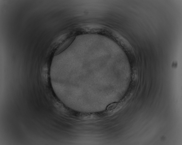 X0000102841108200809081213