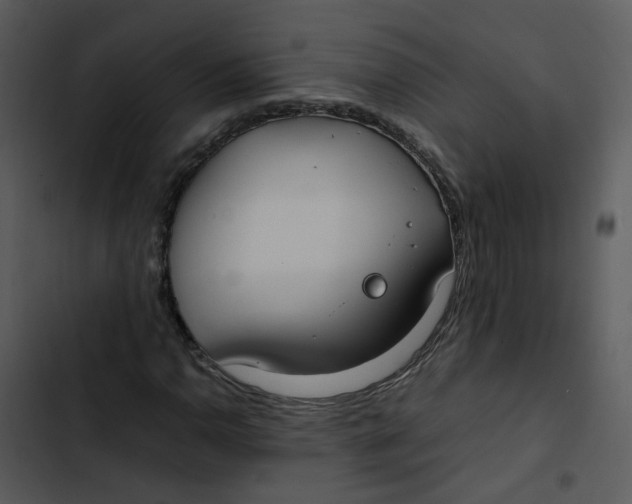 X0000102841110200809081213