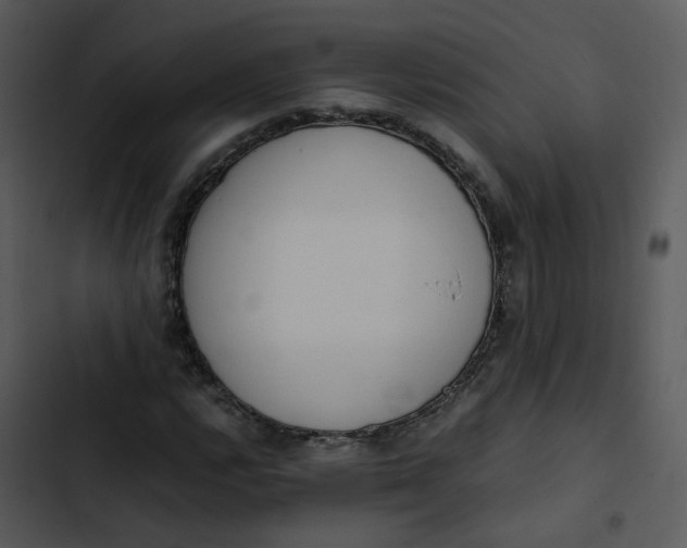 X0000102841112200809081213