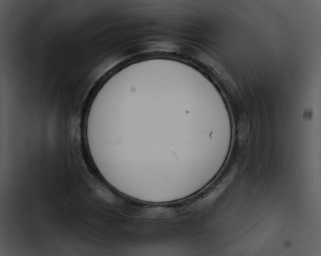 X0000102841113200809081213