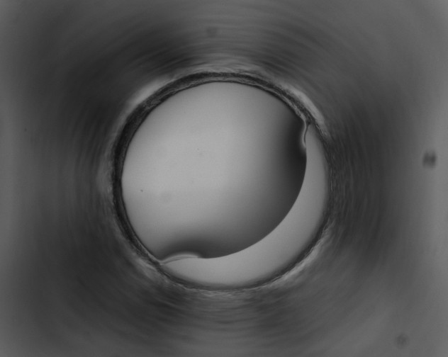 X0000102841114200809081213