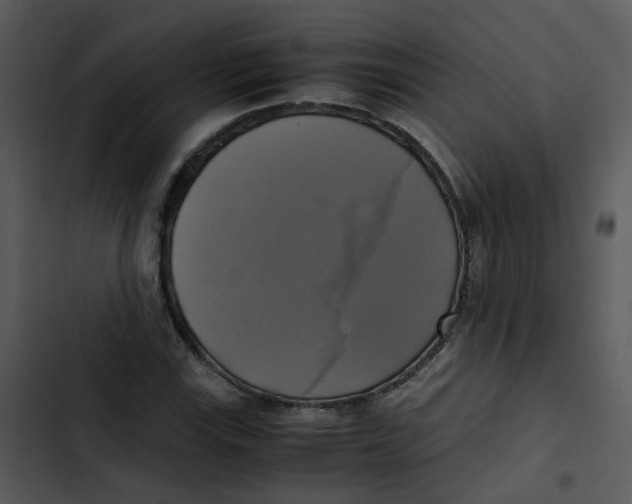 X0000102841115200809081213