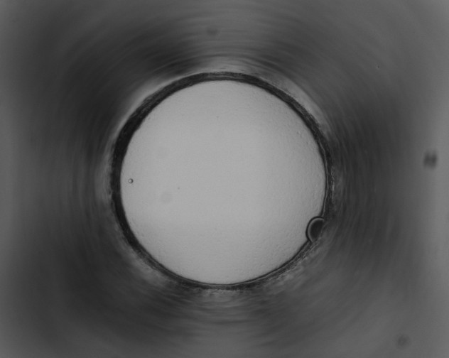 X0000102841116200809081213