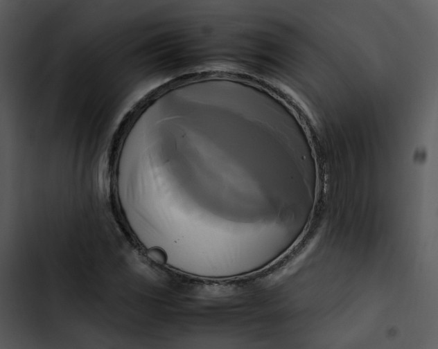 X0000102841117200809081213