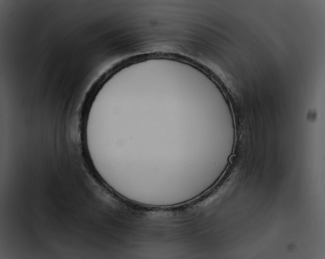 X0000102841118200809081213