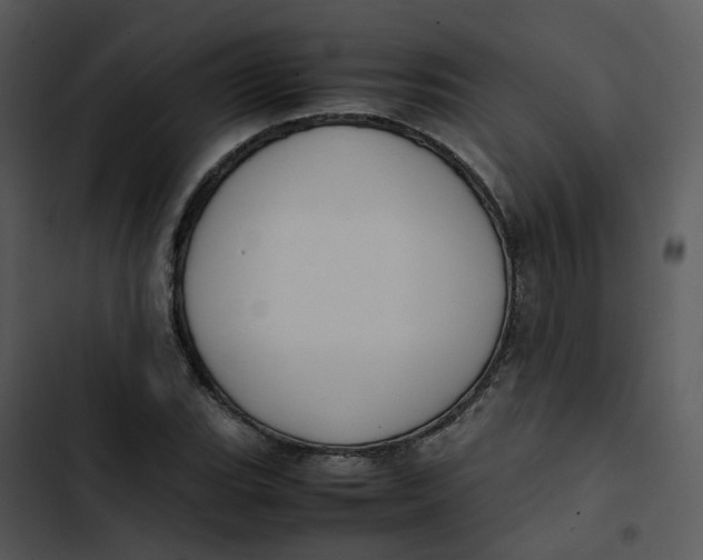 X0000102841119200809081213