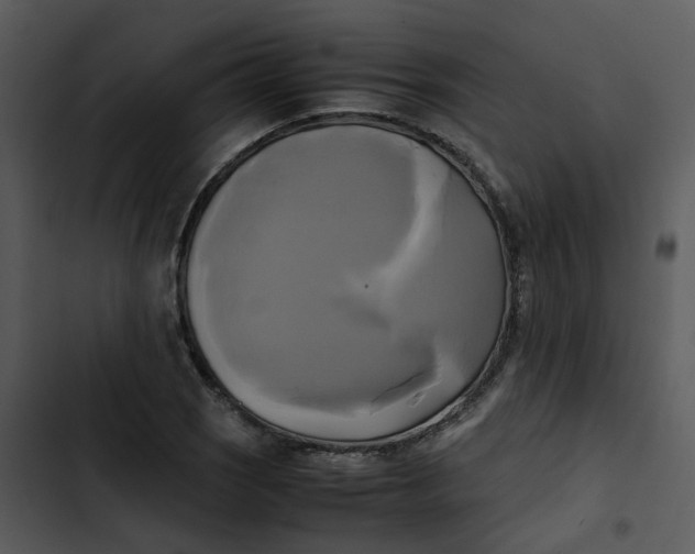 X0000102841121200809081213