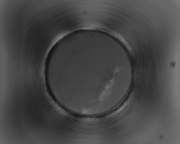 X0000102841122200809081213