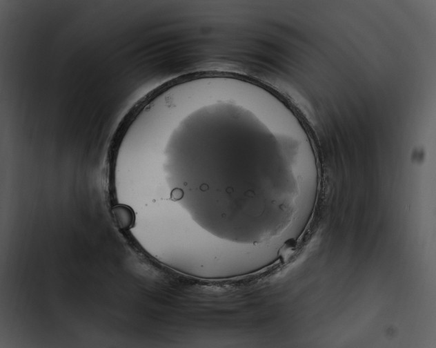 X0000102841125200809081213