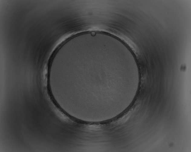 X0000102841126200809081213