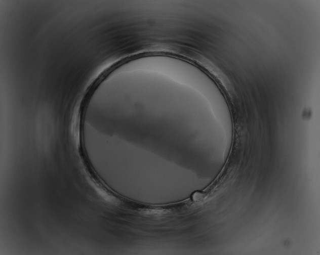 X0000102841127200809081213