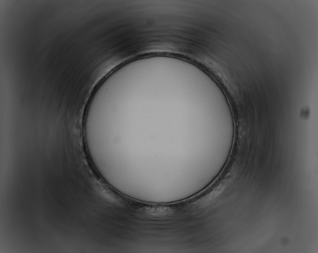 X0000102841129200809081213