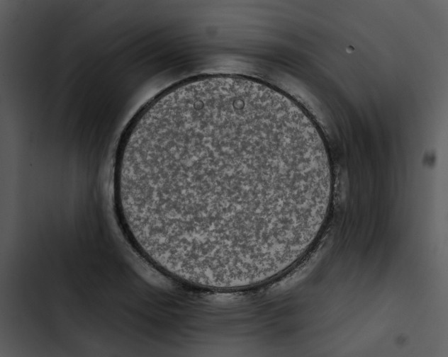 X0000102841130200809081213