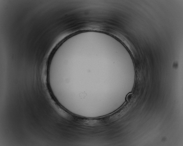 X0000102841131200809081213