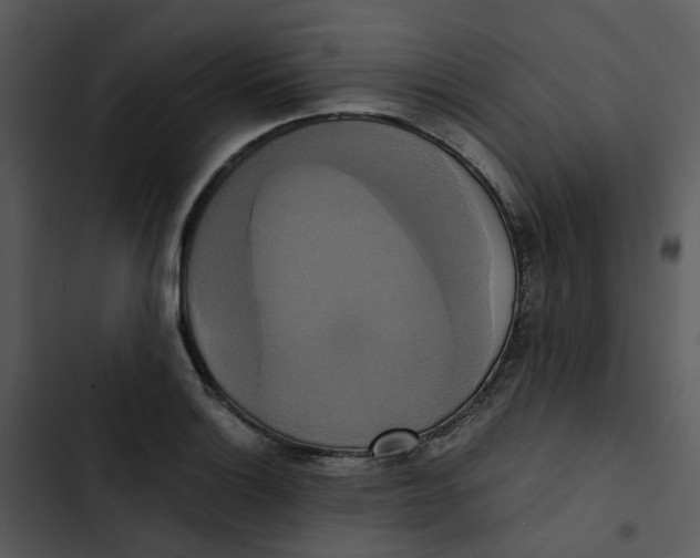 X0000102841132200809081213