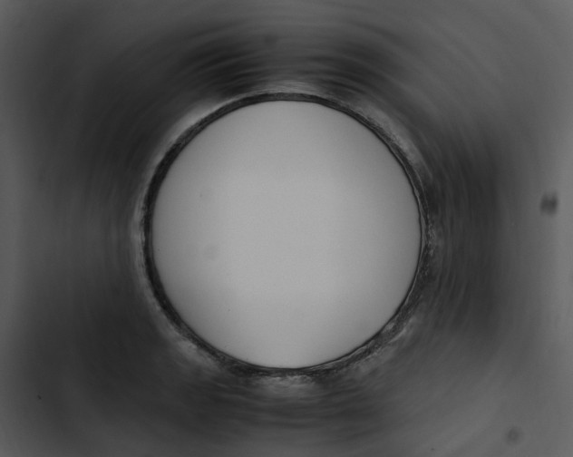 X0000102841133200809081213