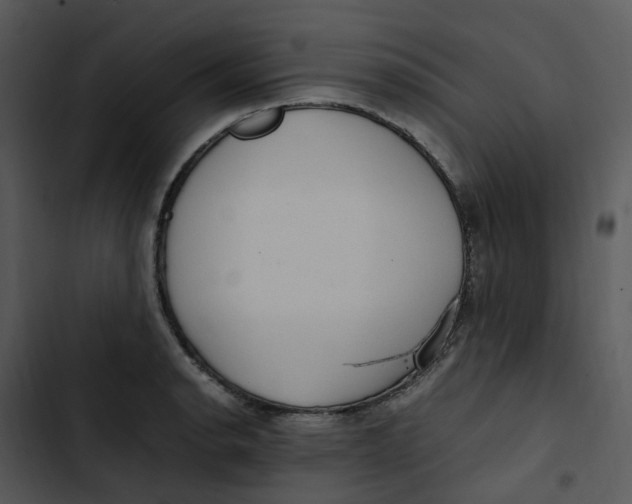 X0000102841134200809081213