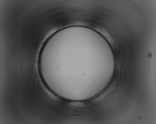 X0000102841135200809081213