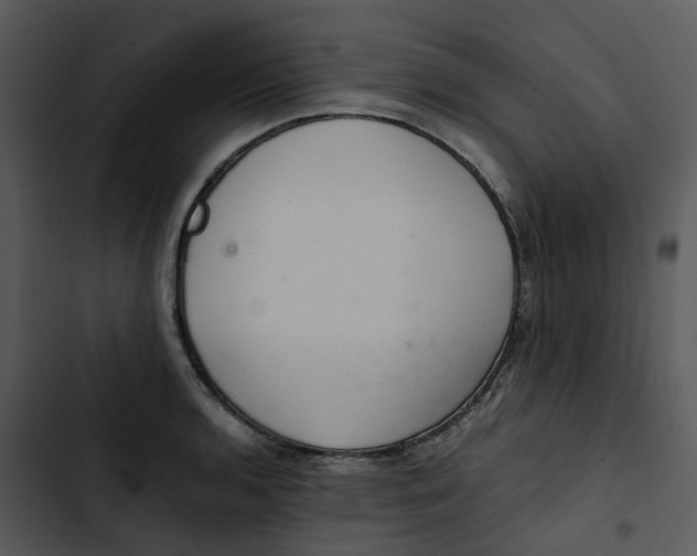 X0000102841136200809081213