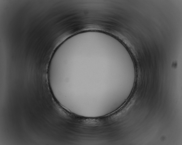 X0000102841137200809081213