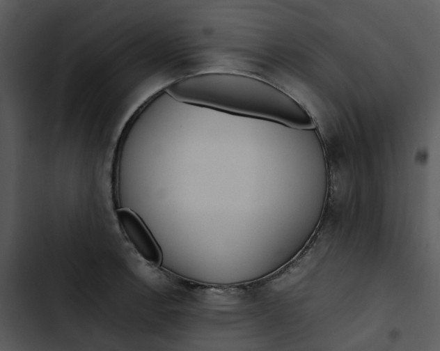 X0000102841138200809081213