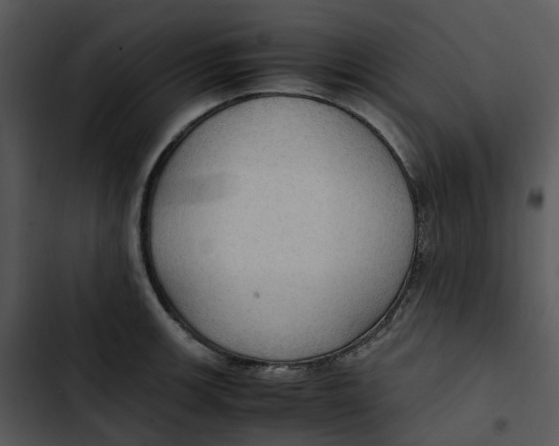 X0000102841139200809081213