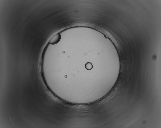 X0000102841140200809081213