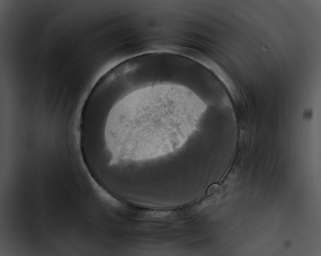 X0000102841143200809081213