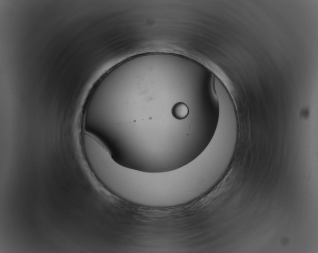 X0000102841144200809081213