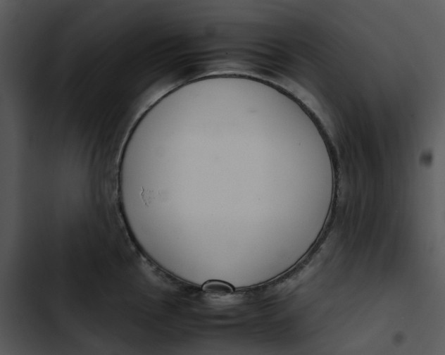 X0000102841145200809081213