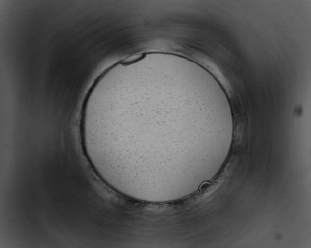 X0000102841146200809081213