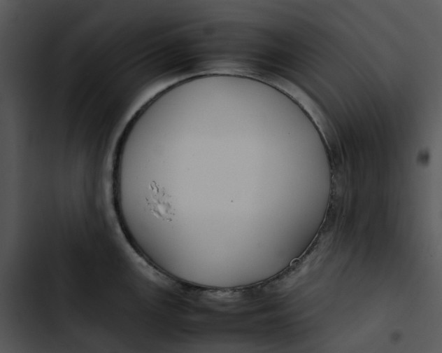 X0000102841147200809081213