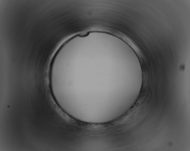 X0000102841148200809081213