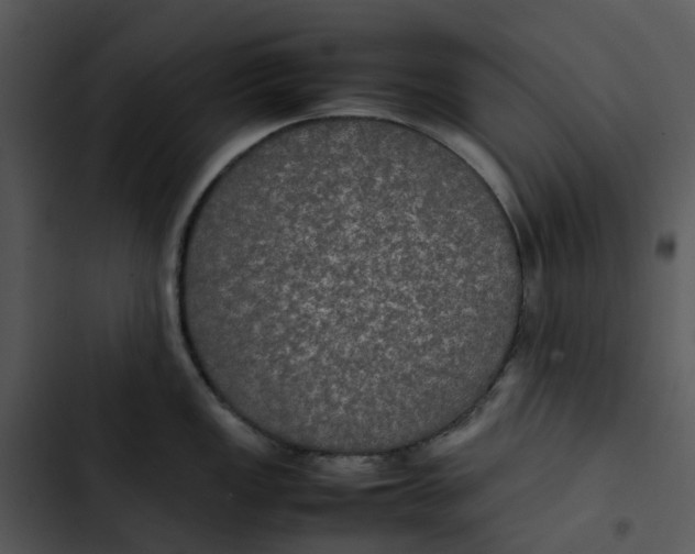 X0000102841149200809081213