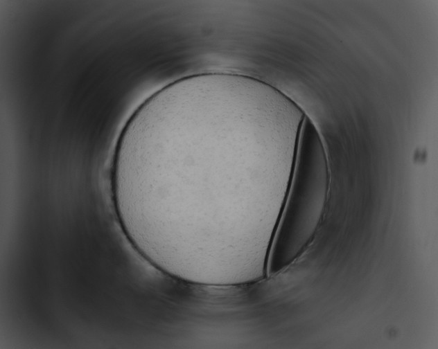 X0000102841152200809081213