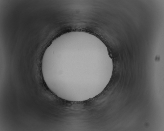 X0000102841153200809081213