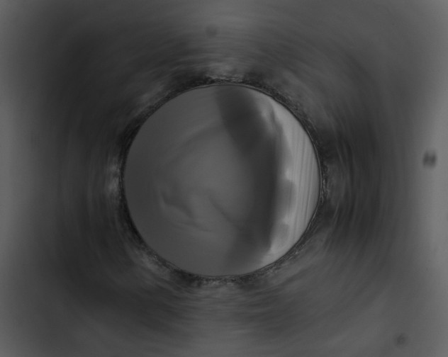 X0000102841154200809081213