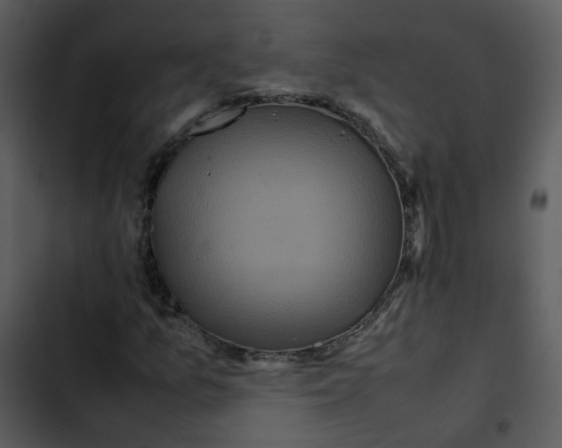 X0000102841157200809081213