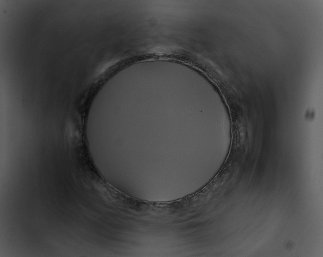 X0000102841158200809081213