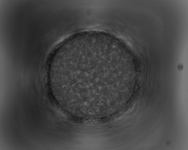 X0000102841159200809081213