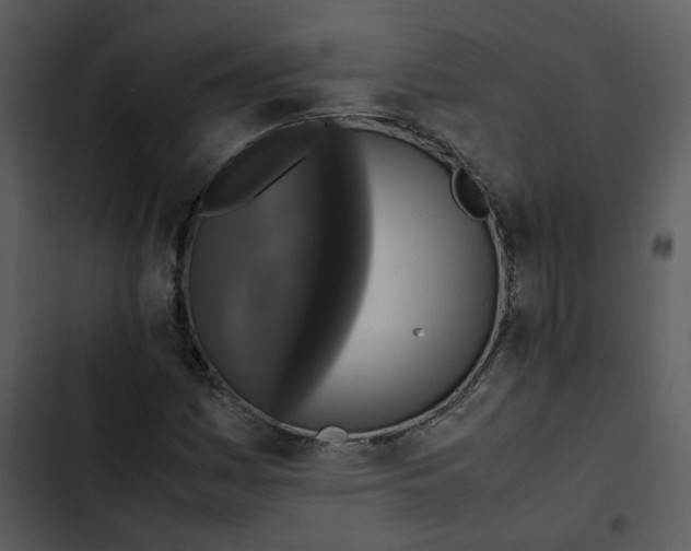 X0000102841161200809081213