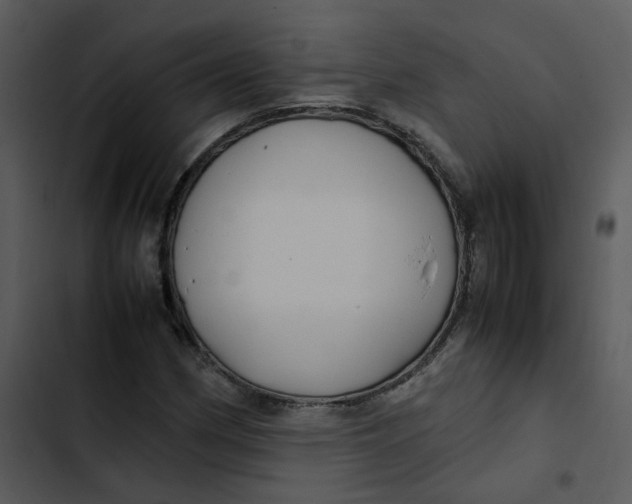 X0000102841162200809081213