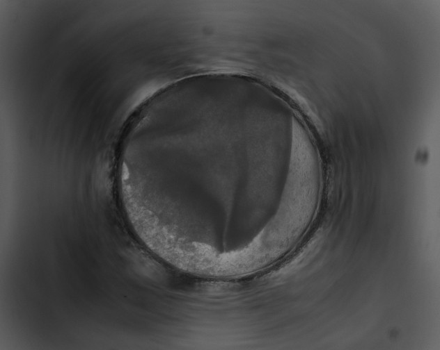 X0000102841163200809081213