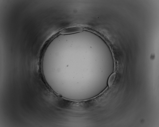 X0000102841165200809081213