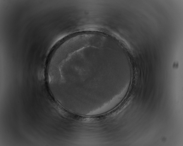 X0000102841166200809081213