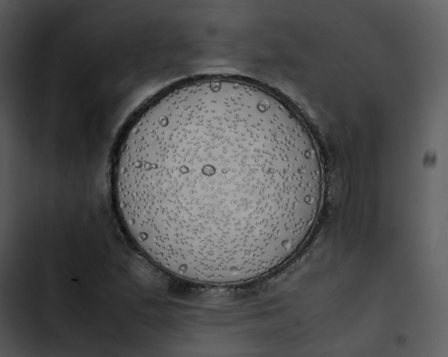 X0000102841167200809081213