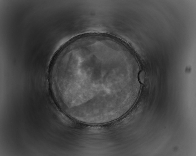 X0000102841168200809081213