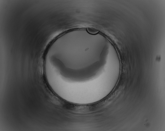 X0000102841171200809081213