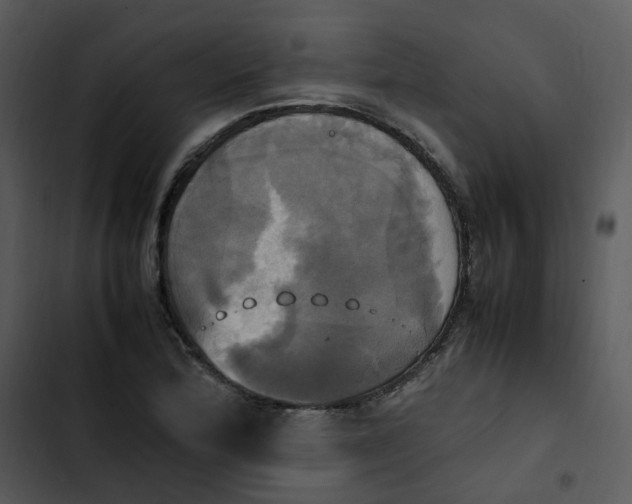 X0000102841172200809081213