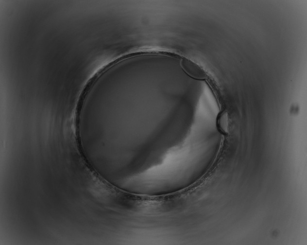 X0000102841173200809081213